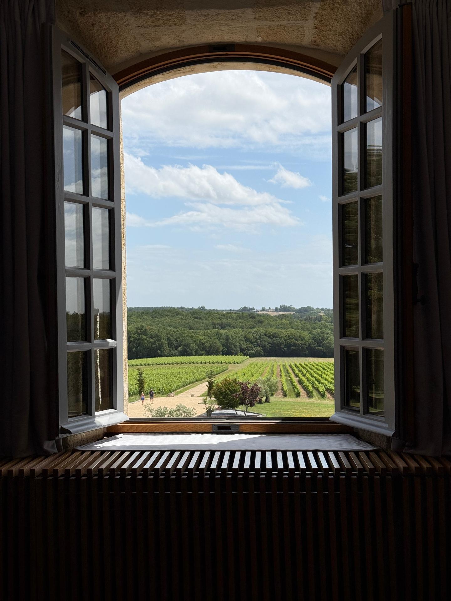 Vineyard view through open arched window